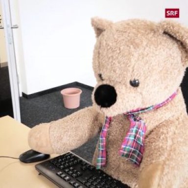 Kuriose Feiertage “Bring dein Teddy zur Arbeit Tag”