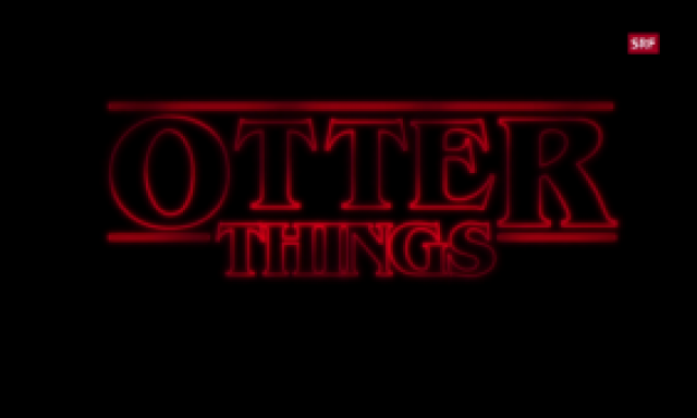 Otter Things Trailer