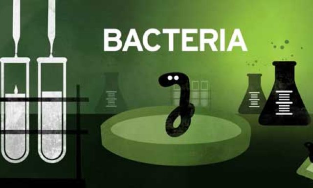 PBS Making Stuff (Bacteria)